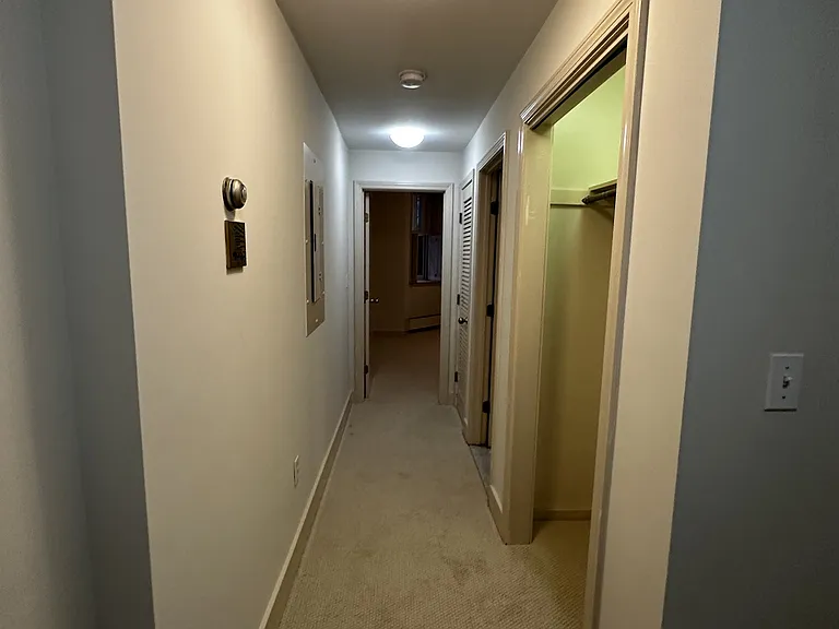 387 Commonwealth Ave #B4D — Photo 6