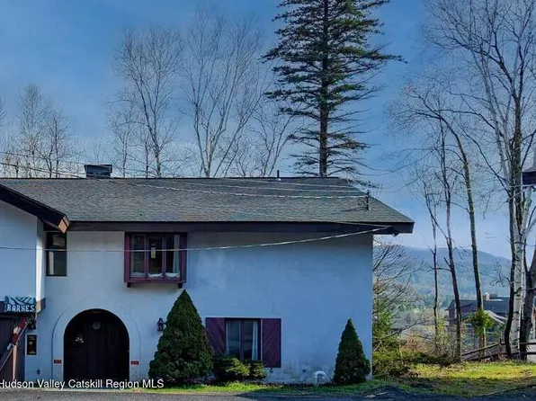 97 Clarence D Lane Road #D, Windham, NY 12496