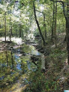 0 Mulberry St #0, Montevallo, AL, 35115