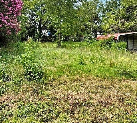 3rd image of 323 Pemberton St