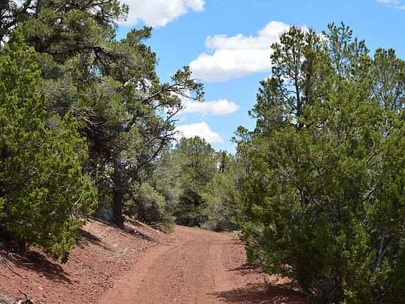 5th image of 1439 County Road 3140