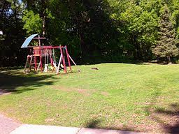 spacious yard with swing set