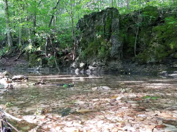 Tbd Tilden Rd, Galena, MO 65656