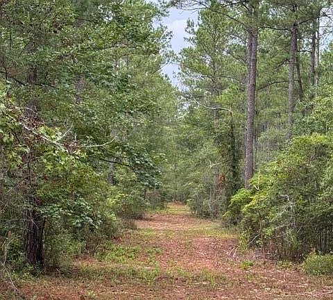 3rd image of 0 State Highway 210 Rd Lot 1