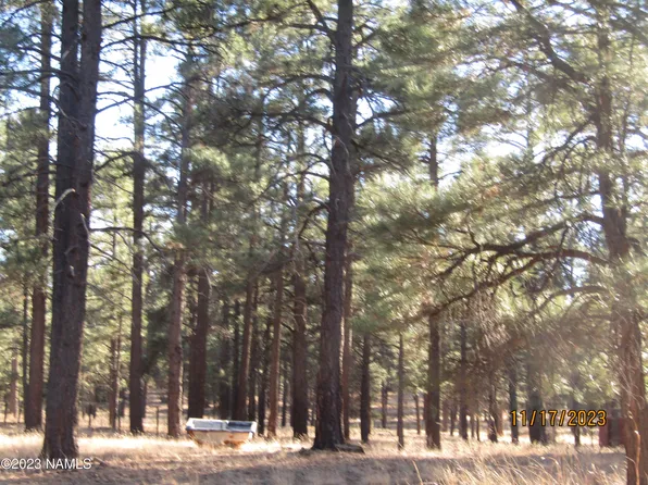 6612 Lynx Ln, Flagstaff, AZ 86004