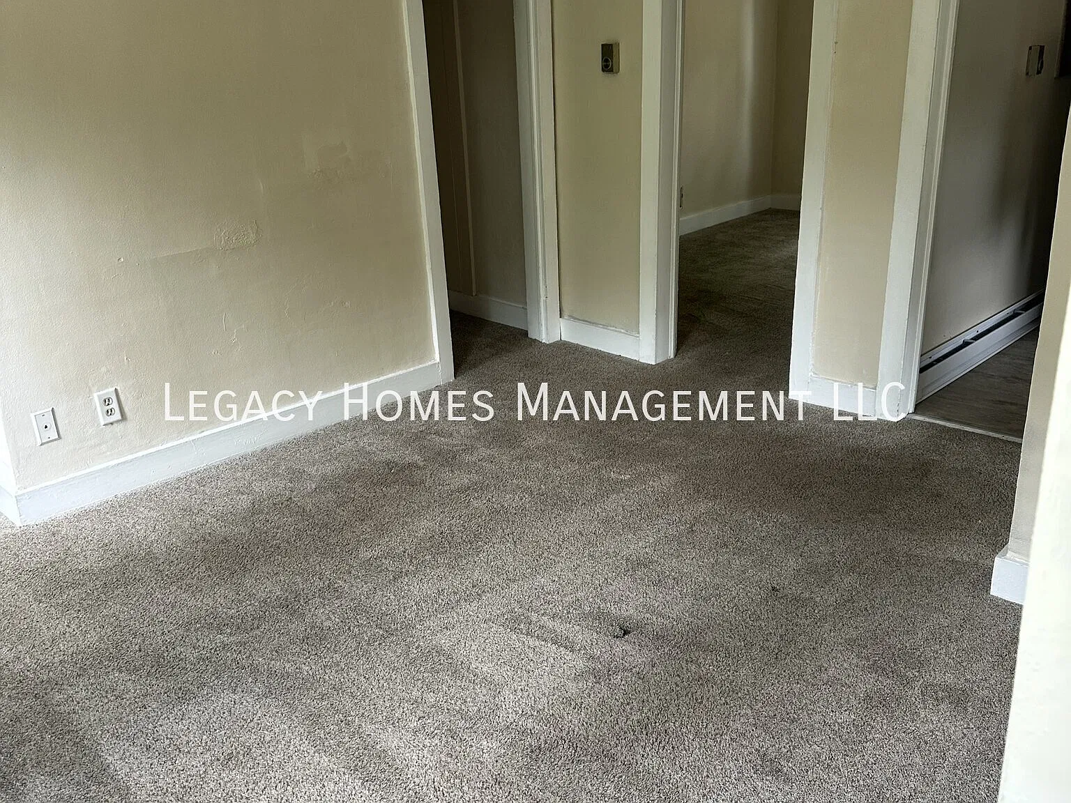 1 bed, $850 — Photo 4