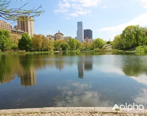 Rented by Alpha Properties NYC I LLC | media 1