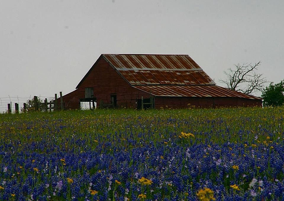 Rustic barn.