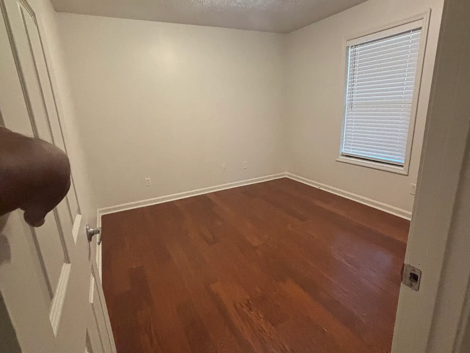 3 bed, 1.5 bath, $2,200 — Photo 2