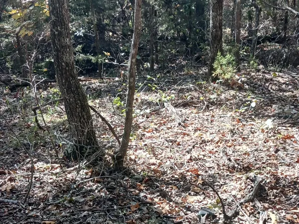 Blk2 Lot6 Rockridge Drive, Isabella, MO 65761