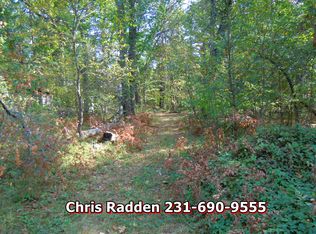 6908 S Joyride Ave, Baldwin, MI 49304