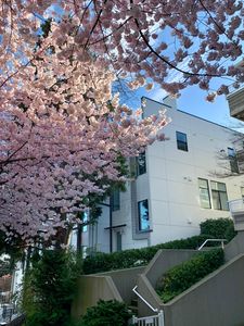 1409 6th Ave N, Seattle, WA, 98109