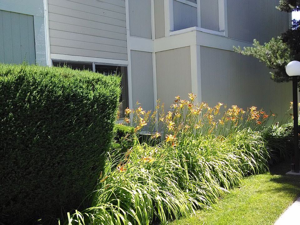 1st image of 2577 Sycamore Glen Dr APT 2