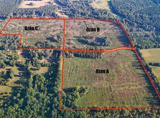 Hempstead 341 Rd, Ozan, AR 71855