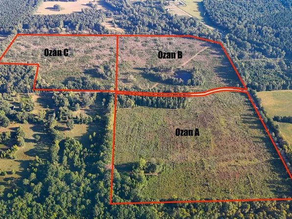 Hempstead 341 Rd, Ozan, AR 71855