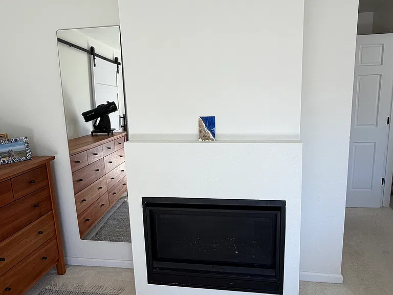 Primary BR - Gas Fireplace