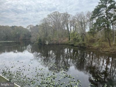 228 Canal Park Dr UNIT G-210, Salisbury, MD, 21804