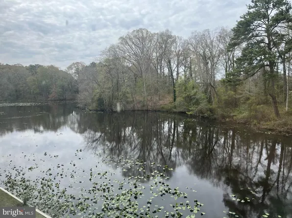 228 Canal Park Dr Unit G-210, Salisbury, MD 21804