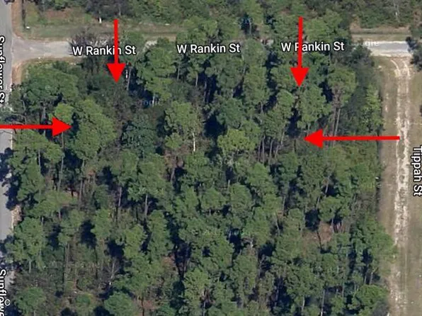 W Rankin St, Bay Saint Louis, MS 39520