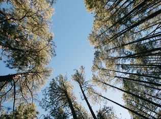 5512 Quail Run Dr, Show Low, AZ 85901