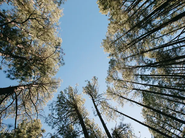 5512 Quail Run Dr, Show Low, AZ 85901