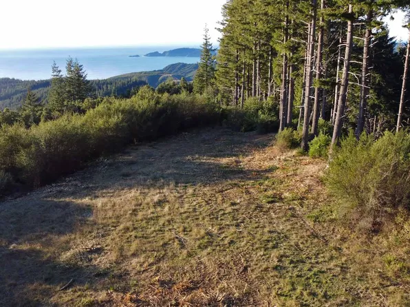 0 China Mountain Rd, Pt Orford, OR 97465
