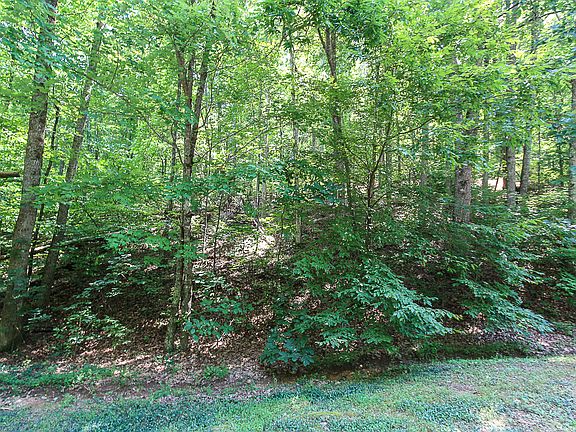 5th image of 2273 Duck Cove Dr