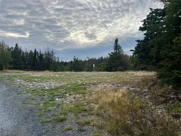 72 Gully Path, Harbour Grace, NL A1A2M0