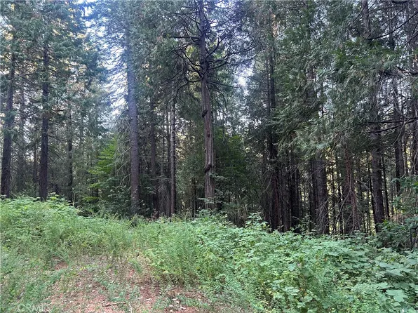 6418 Hupp Coutolenc Rd, Magalia, CA 95954