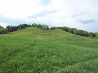 1195 Snake Hollow Rd, Greeneville, TN 37743