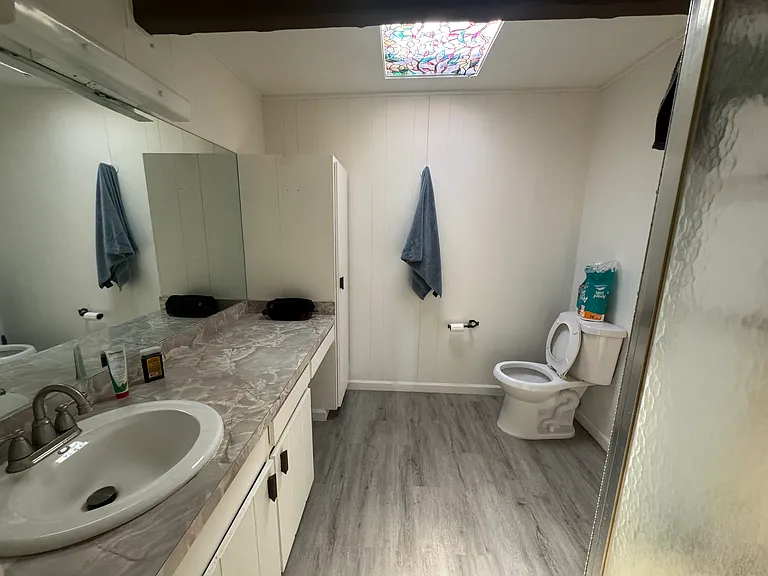 bathroom with skylight