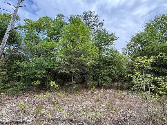 4th image of 19678 Walsh Rd