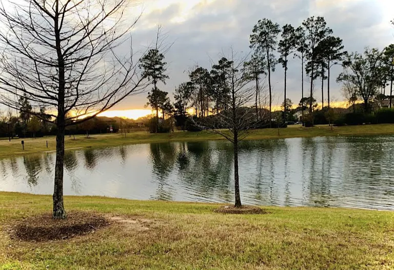 22423 Sawmill Ranch Dr — Photo 15
