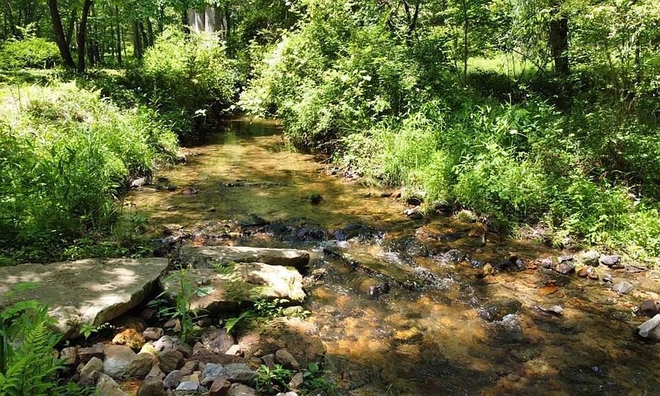 1st image of Tract 1 Timber Ridge Road