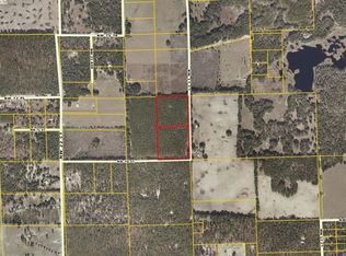 6100 NW 17th Ct, Bell, FL 32619