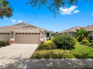 15738 Phoebepark Ave, Lithia, FL 33547