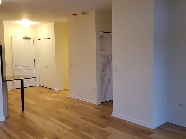 125 S Jefferson St #1508 — Photo 6