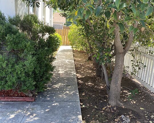3rd image of 347 Francis St
