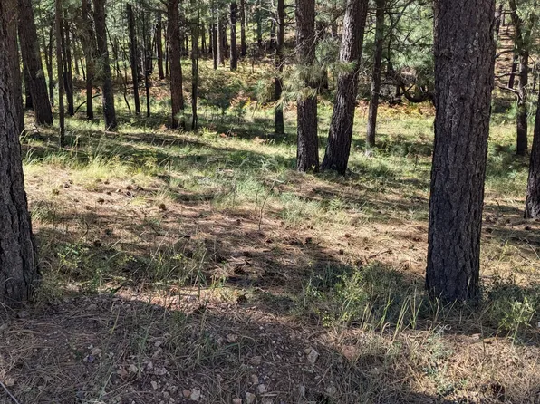 1878 SHEEP SPRINGS Road #427, Forest Lakes, AZ 85931