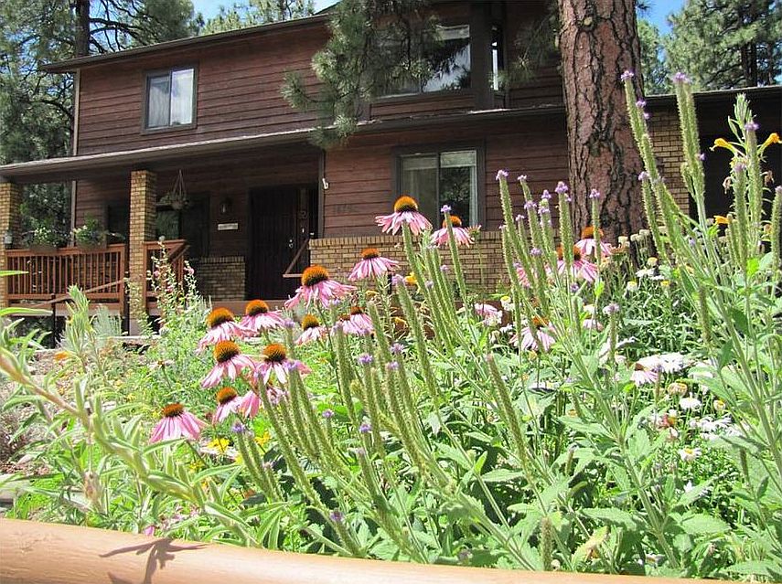 Front yard in Summer