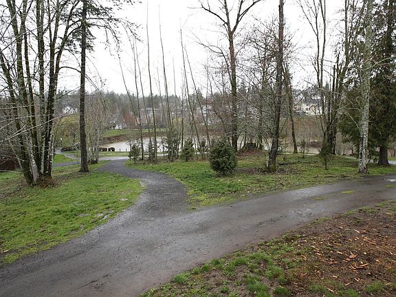 View of Pond & Trees