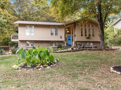 9913 Rainbow Dr, Knoxville, TN, 37922