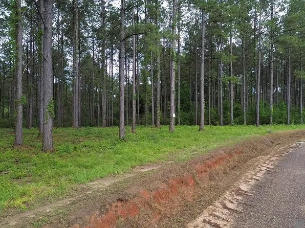 TRACT Monroe Stevens Rd #B, Kentwood, LA 70444
