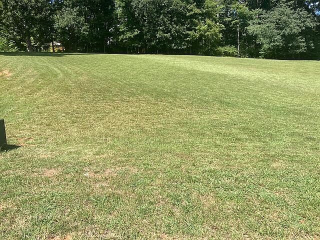 2nd image of 172 Sugarcane Ln