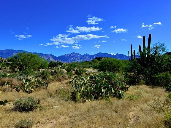 4th image of 1444 W Tortolita Mountain Cir