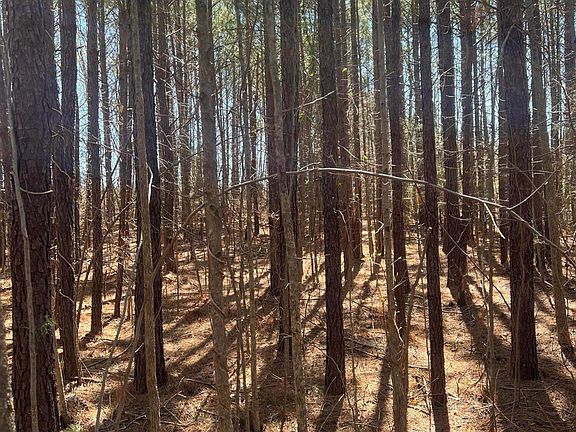 5th image of 299 Hodges Rd