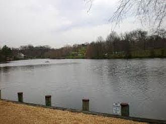 Wilde Lake