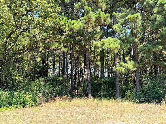 4th image of 2447 County Road 261