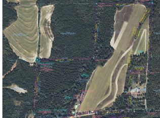 0 County Road 177, Shorterville, AL 36373