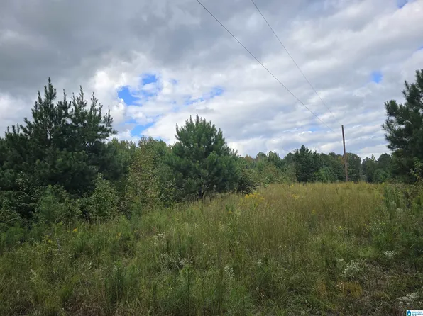 0 State Highway 22 #37, Rockford, AL 35136